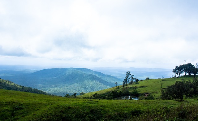 证偶像在场 证偶像在场