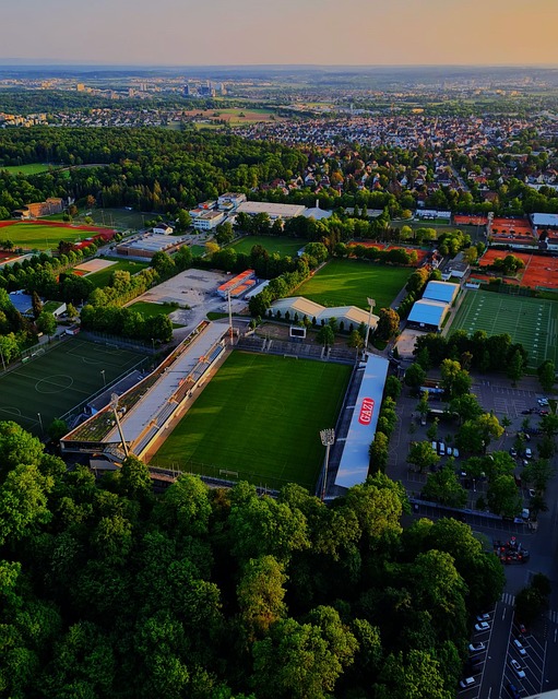 这一点也从 这一点也从