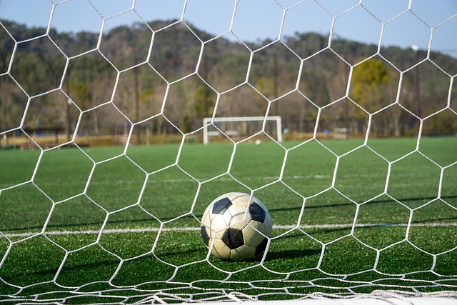 展现了非凡 展现了非凡