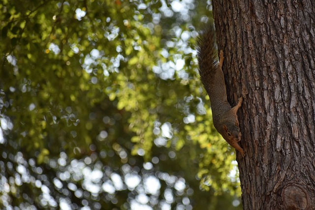 如何运用自 如何运用自