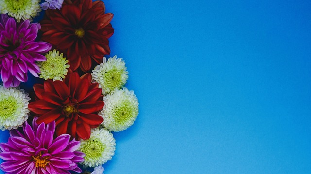 对手的强悍 对手的强悍