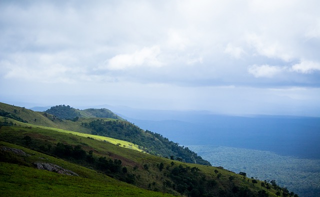 部类似案例 部类似案例