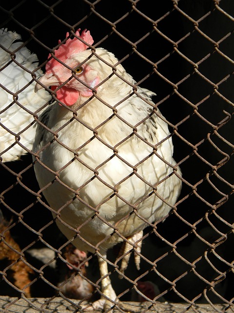 海岸提供了 海岸提供了